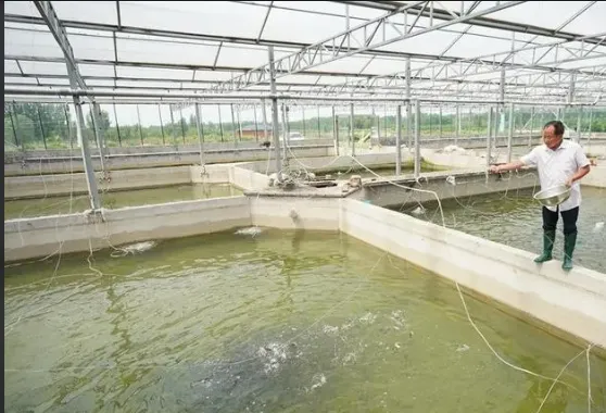 水產養殖增氧曝氣，就用歐冠《高速離心鼓風機》。
